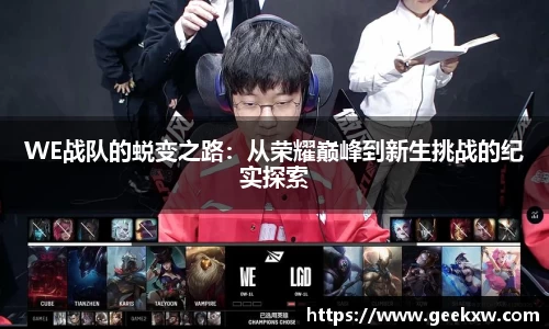 WE战队的蜕变之路：从荣耀巅峰到新生挑战的纪实探索