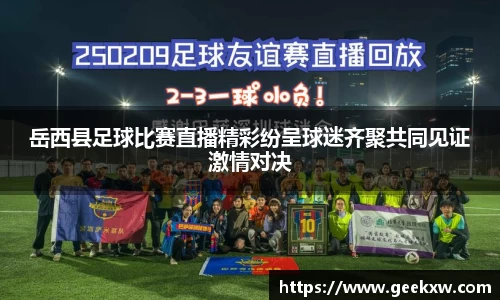 万向娱乐