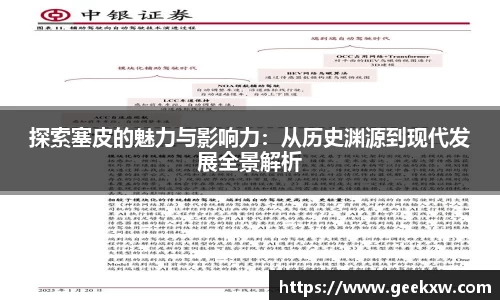 探索塞皮的魅力与影响力：从历史渊源到现代发展全景解析